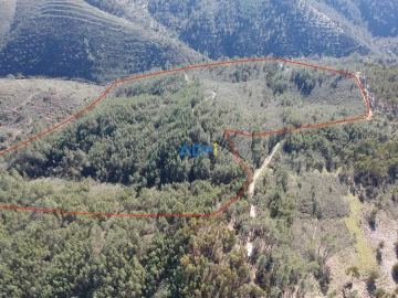 Terreno para Venda em Santo Andre das Tojeiras