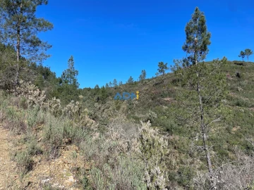 Terreno para Venda em Santo Andre das Tojeiras