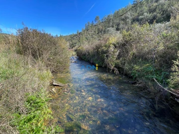 Terreno para Venda em Santo Andre das Tojeiras