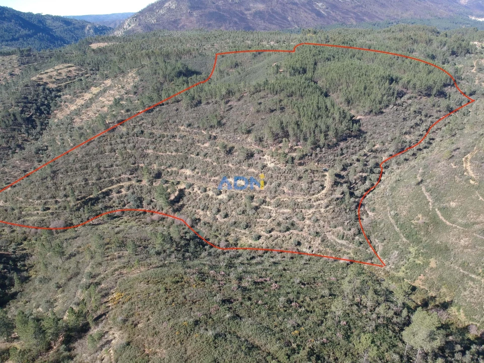 Terreno para Venda em Santo Andre das Tojeiras Foto 10