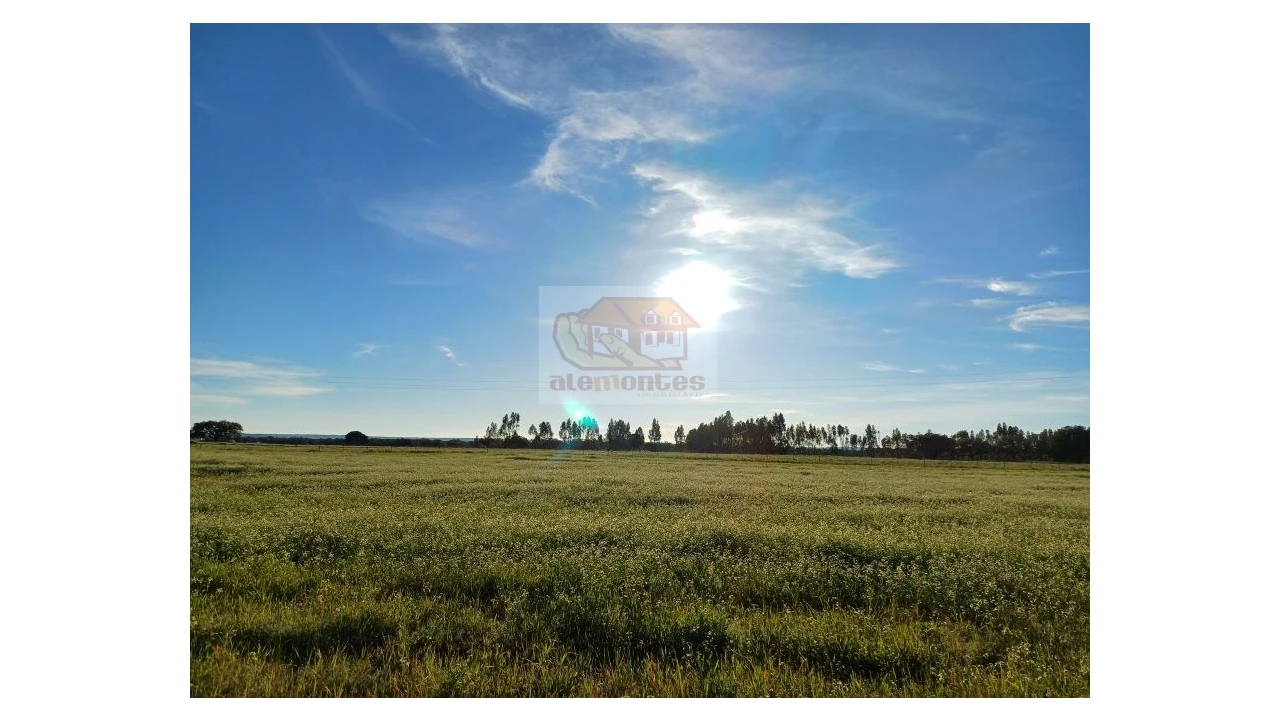 Quinta T7 para Venda em Grândola e Santa Margarida da Serra Foto 2