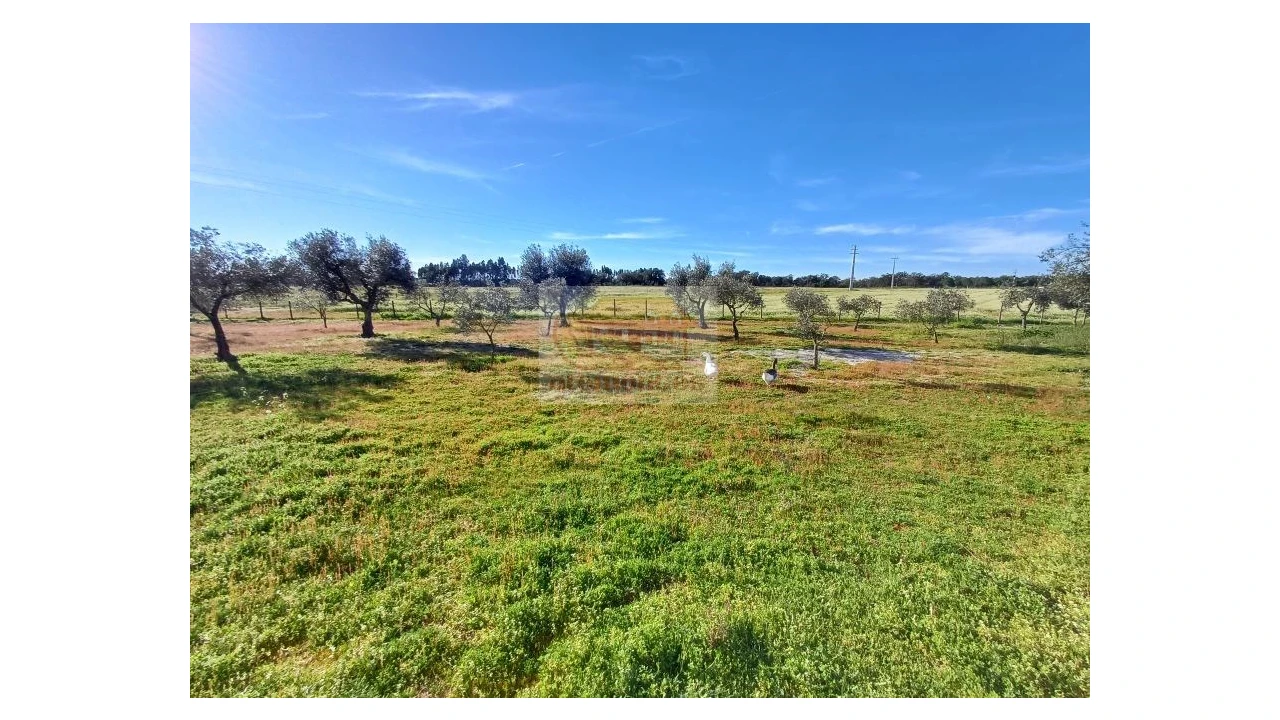 Quinta T7 para Venda em Grândola e Santa Margarida da Serra Foto 5
