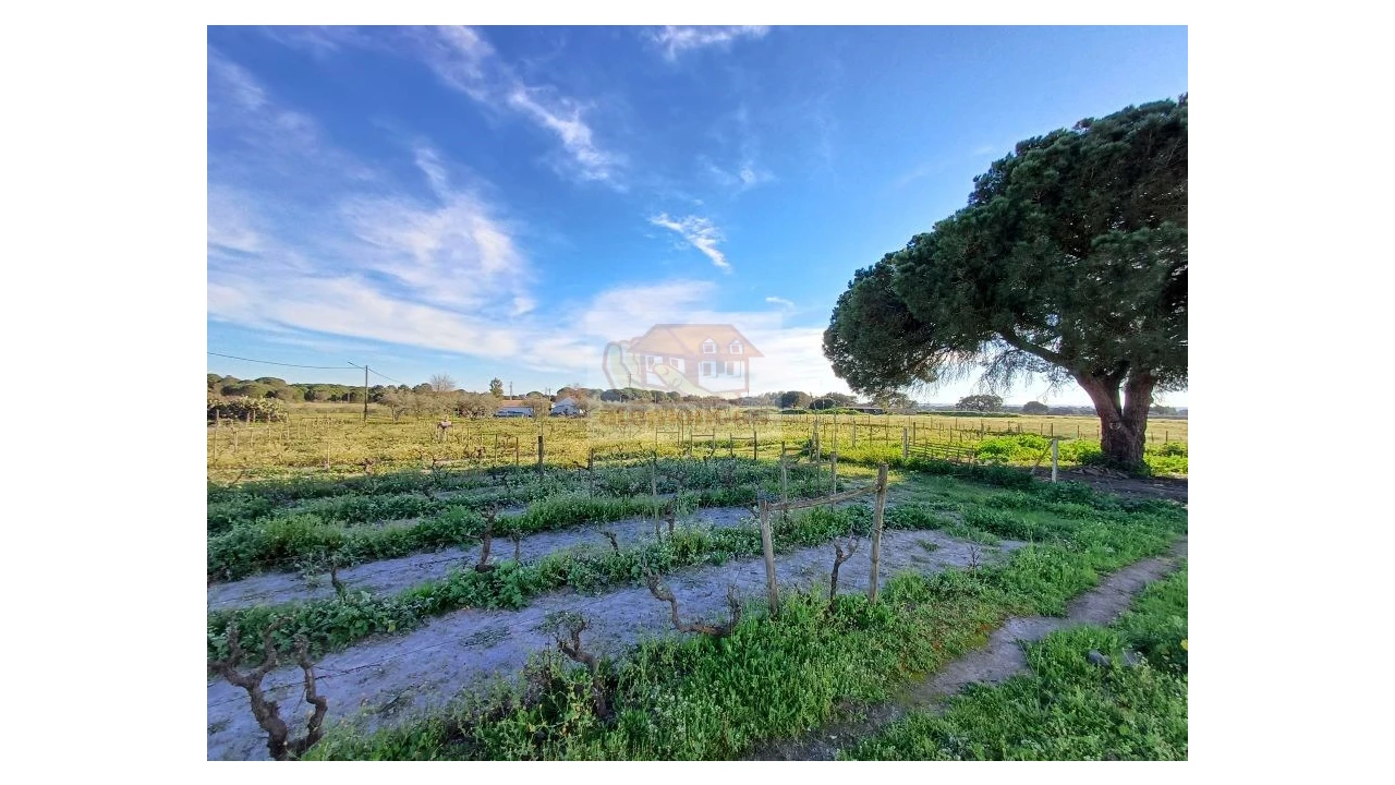 Quinta T7 para Venda em Grândola e Santa Margarida da Serra Foto 14