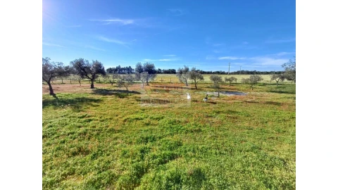 Quinta T7 para Venda em Grândola e Santa Margarida da Serra