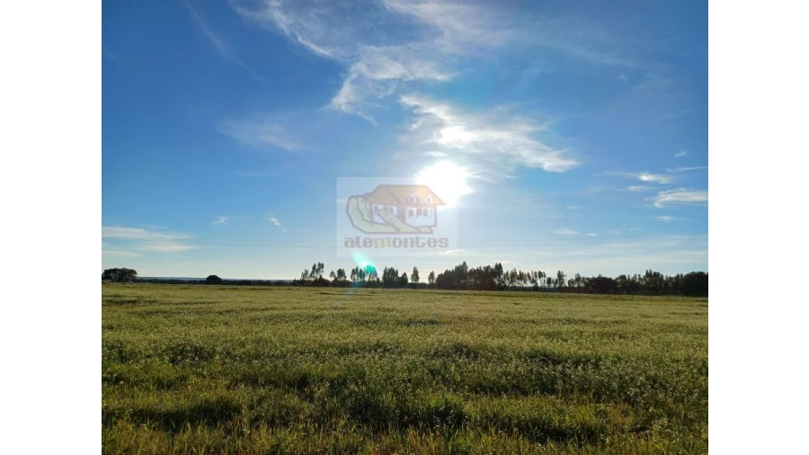 Quinta T7 para Venda em Grândola e Santa Margarida da Serra Foto 2