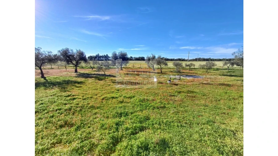Quinta T7 para Venda em Grândola e Santa Margarida da Serra Foto 5