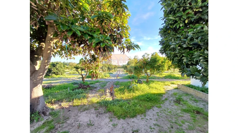 Quinta T7 para Venda em Grândola e Santa Margarida da Serra Foto 15