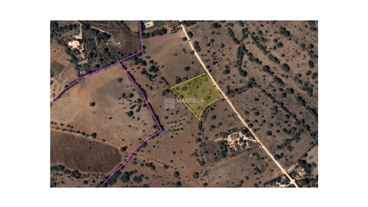 Terreno Agricola ou Rústico para Venda em Luz Foto 6