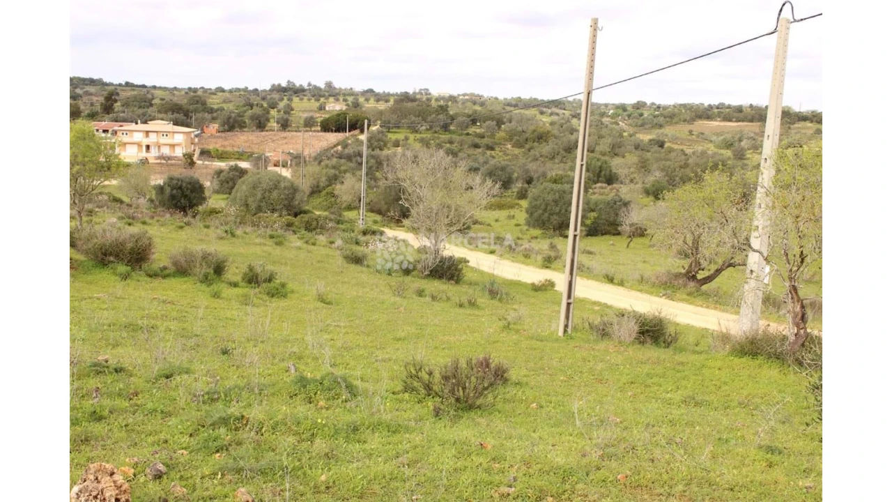 Terreno Agricola ou Rústico para Venda em Luz Foto 2