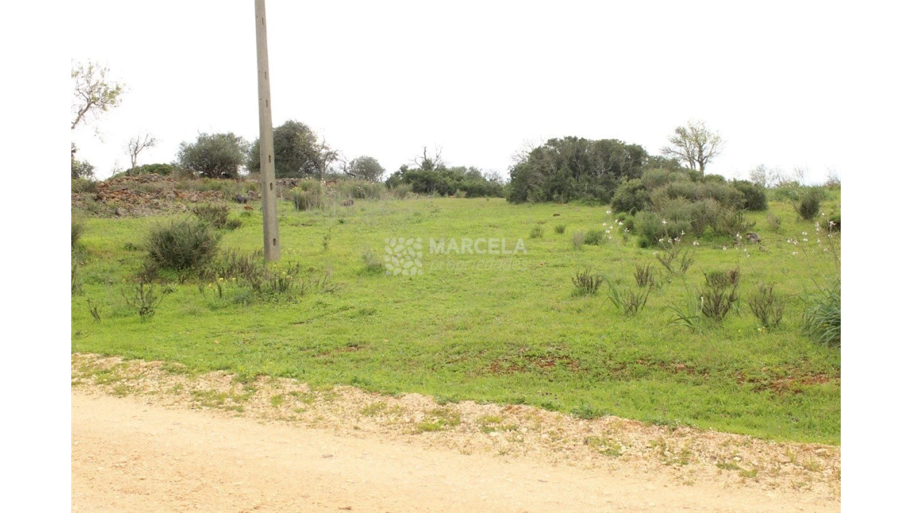 Terreno Agricola ou Rústico para Venda em Luz Foto 5