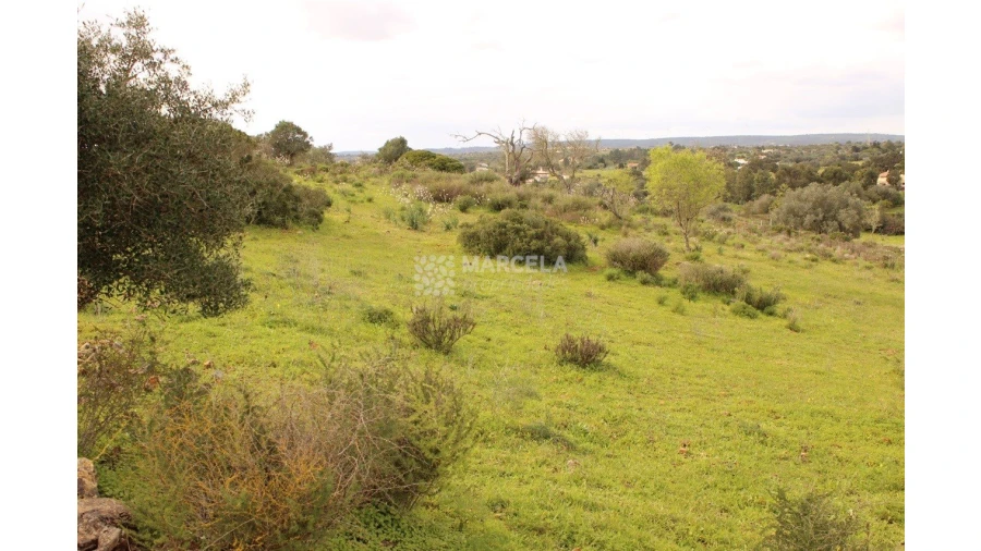 Terreno Agricola ou Rústico para Venda em Luz Foto 3
