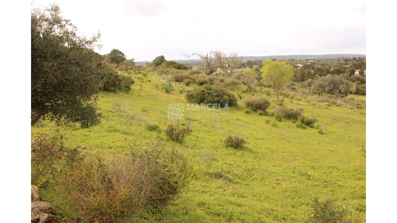 Terreno Agricola ou Rústico para Venda em Luz Foto 4