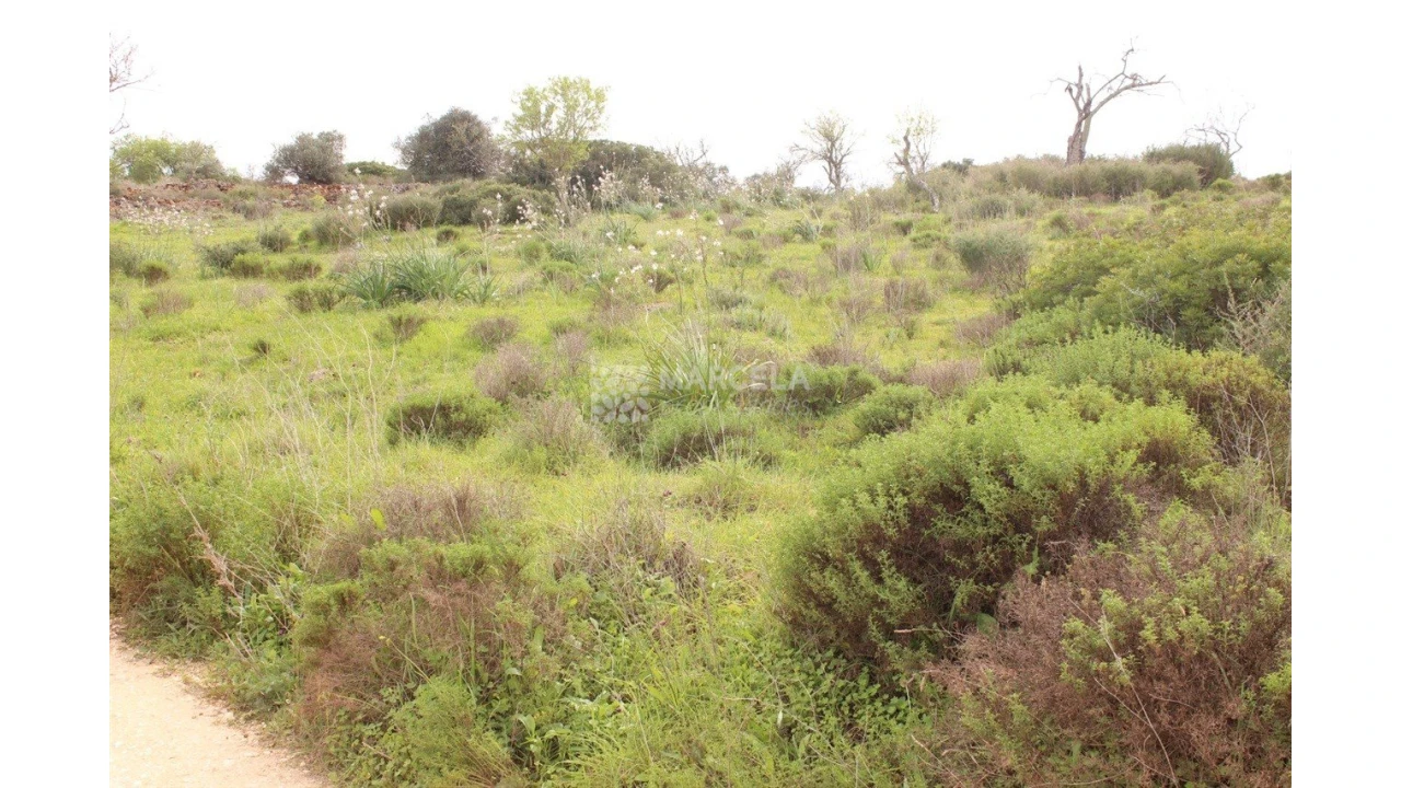 Terreno Agricola ou Rústico para Venda em Luz Foto 3