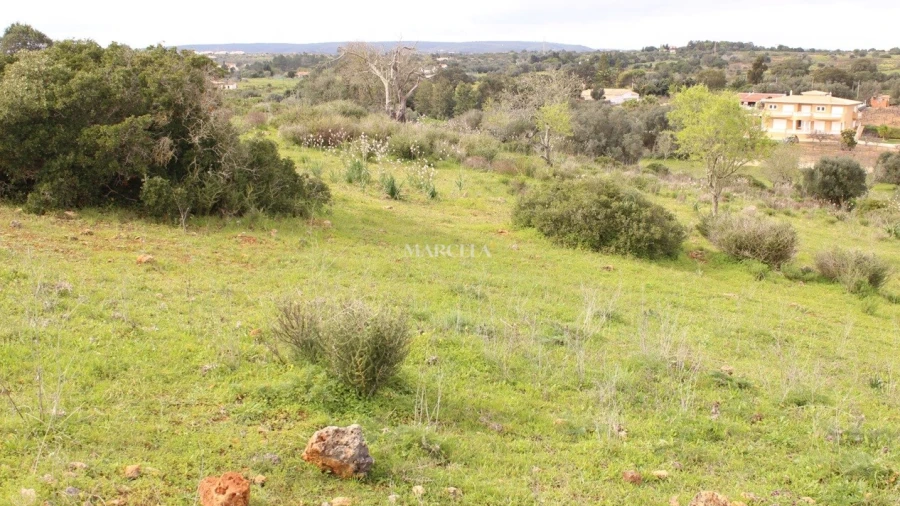 Terreno Agricola ou Rústico para Venda em Luz