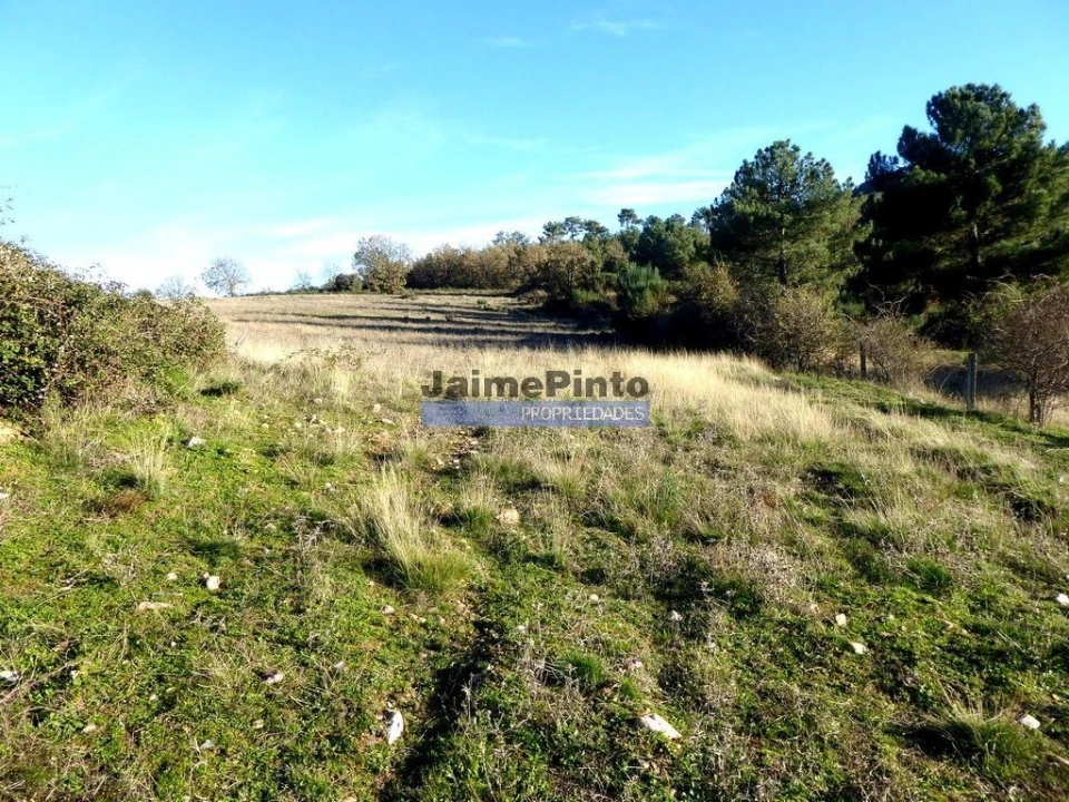 Terreno Agricola ou Rústico para Venda em Figueira de Castelo Rodrigo Foto 2