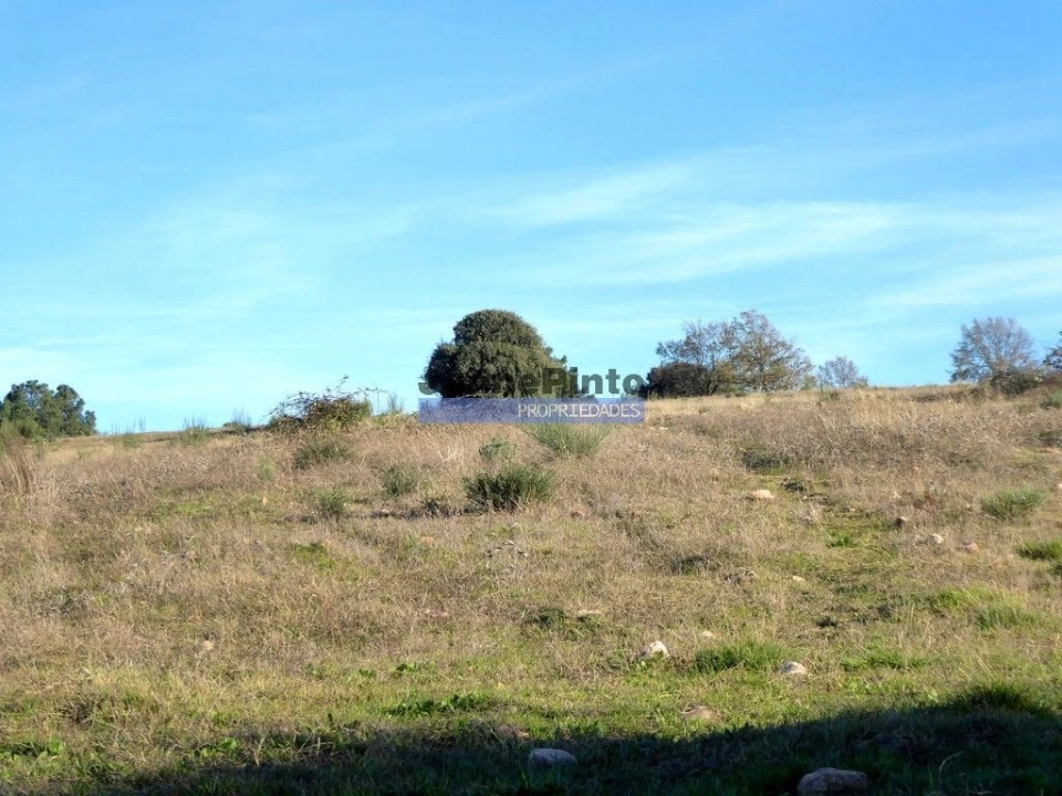 Terreno Agricola ou Rústico para Venda em Figueira de Castelo Rodrigo Foto 3