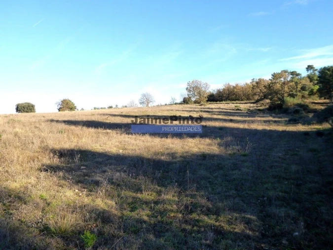 Terreno Agricola ou Rústico para Venda em Figueira de Castelo Rodrigo Foto 1