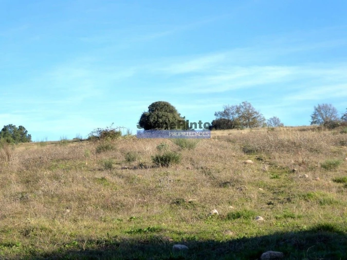 Terreno Agricola ou Rústico para Venda em Figueira de Castelo Rodrigo Foto 3
