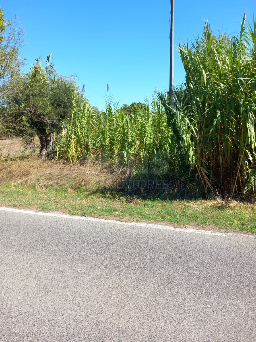 Terreno para Venda em Olaia e Paço Foto 3