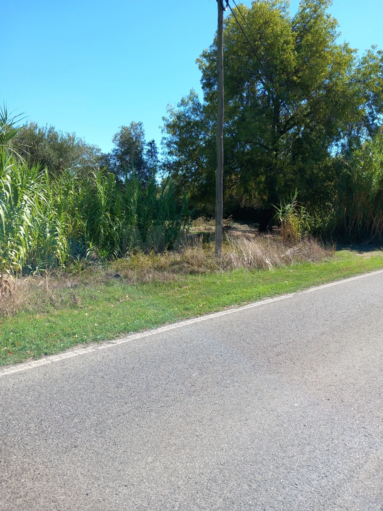 Terreno para Venda em Olaia e Paço Foto 2