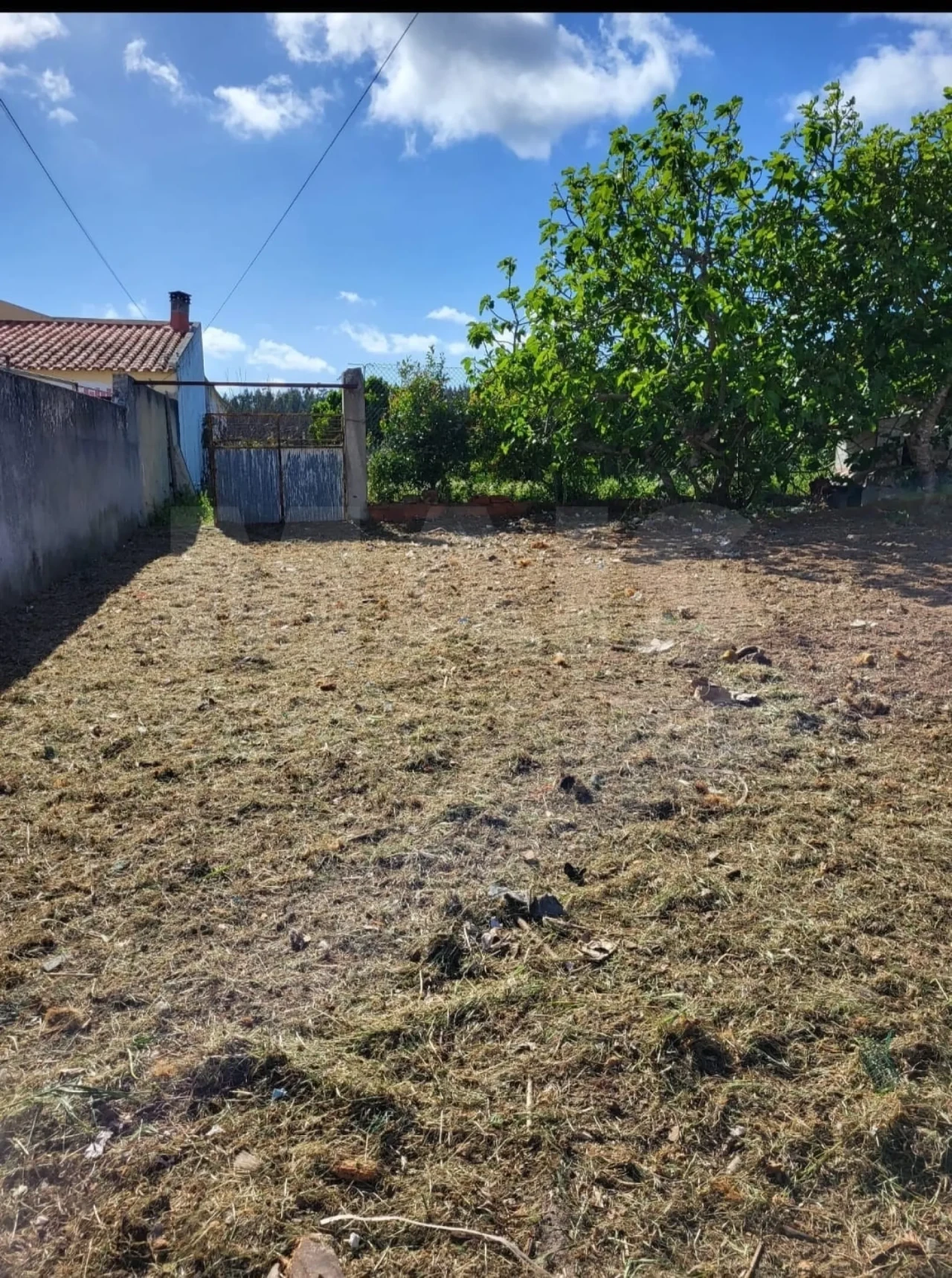 Moradia T3 para Venda em Santa Maria, São Pedro e Sobral da Lagoa Foto 7