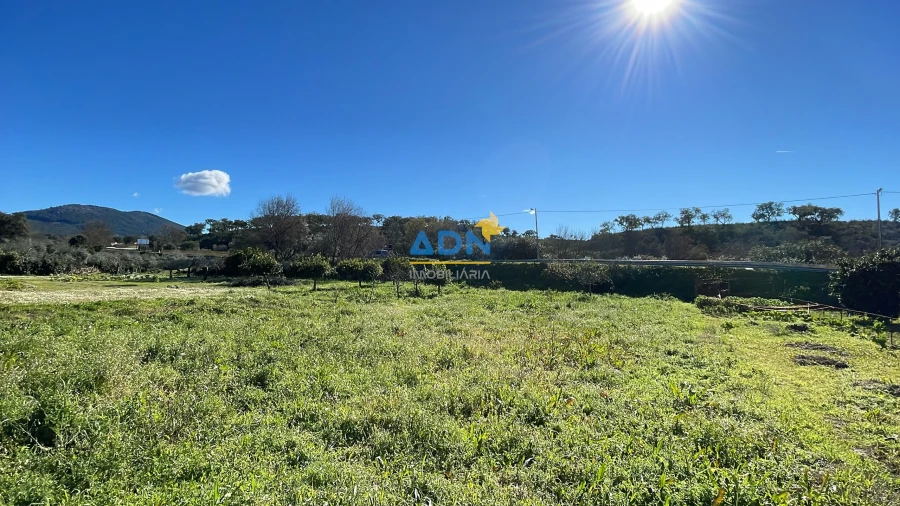 Quinta para Venda em Penha Garcia Foto 10