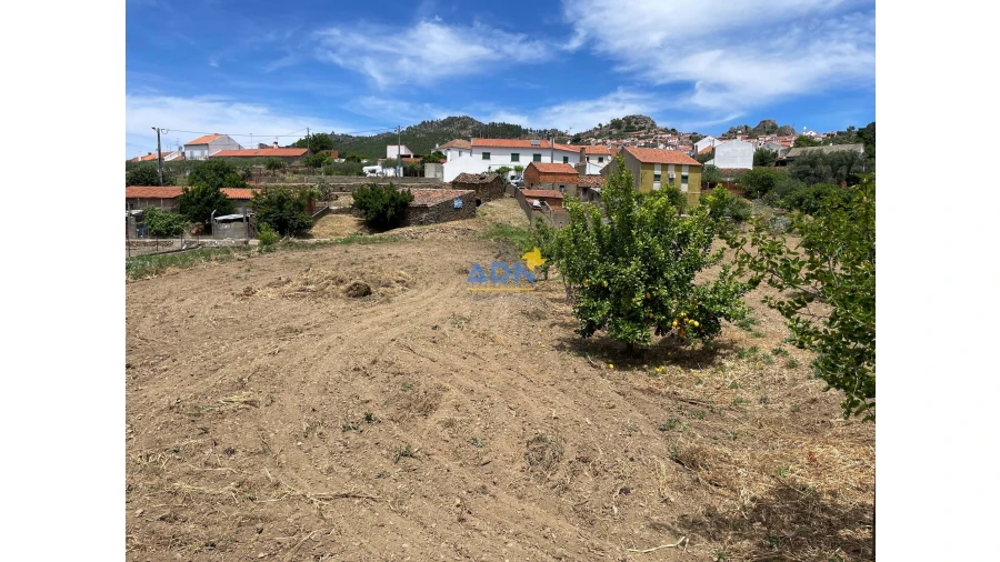 Quinta para Venda em Penha Garcia Foto 15