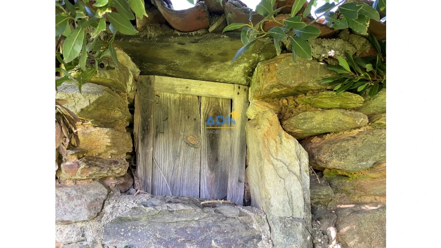 Quinta para Venda em Penha Garcia Foto 7