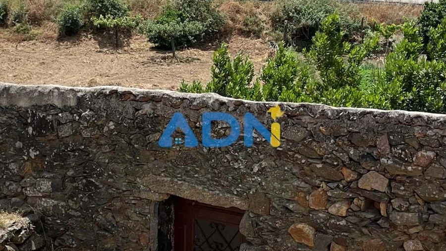 Quinta para Venda em Penha Garcia
