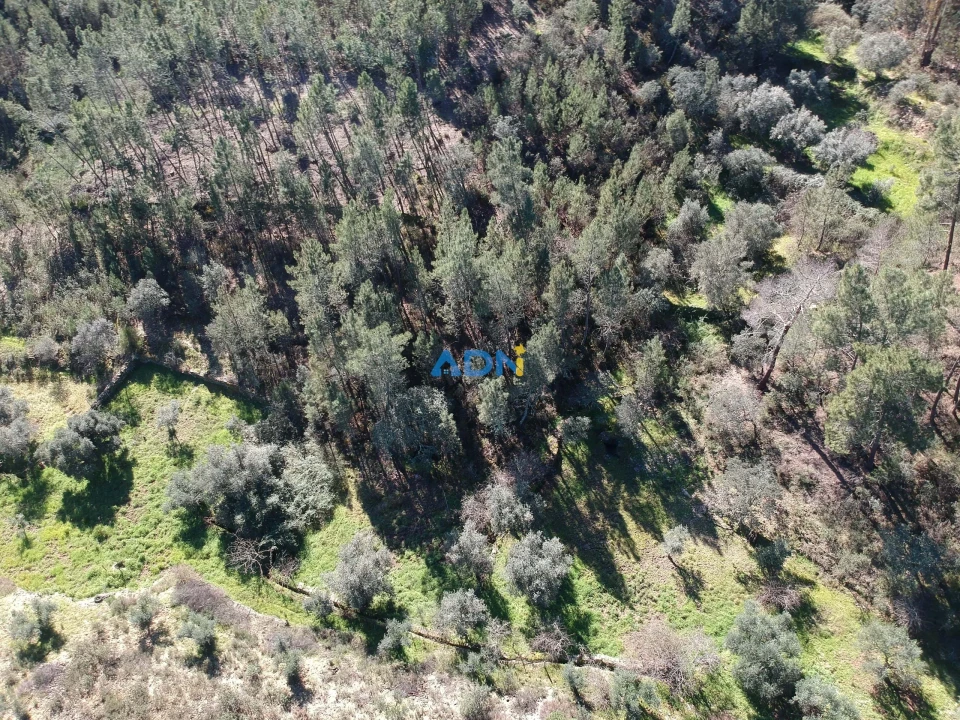 Terreno para Venda em Santo Andre das Tojeiras Foto 1