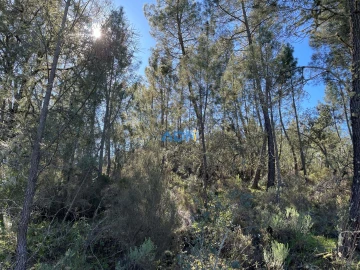 Terreno para Venda em Santo Andre das Tojeiras