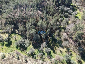 Terreno para Venda em Santo Andre das Tojeiras