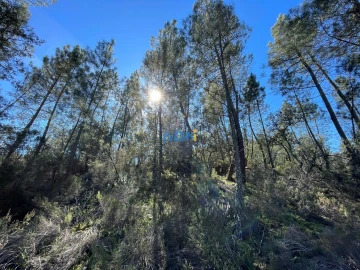 Terreno para Venda em Santo Andre das Tojeiras