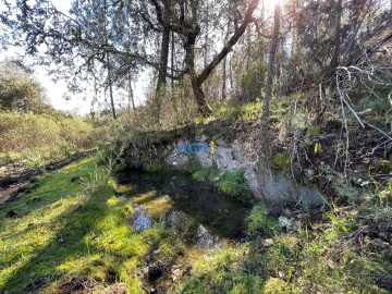 Terreno para Venda em Santo Andre das Tojeiras