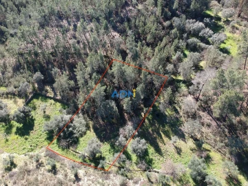 Terreno para Venda em Santo Andre das Tojeiras