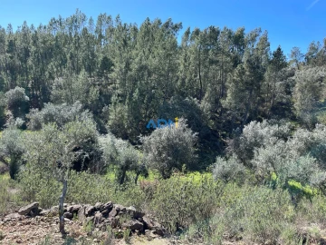Terreno para Venda em Santo Andre das Tojeiras