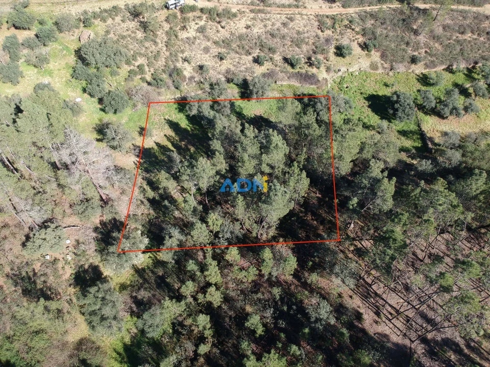 Terreno para Venda em Santo Andre das Tojeiras Foto 4