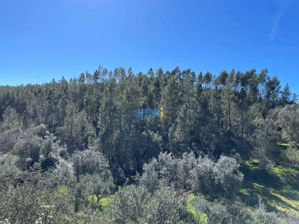 Terreno para Venda em Santo Andre das Tojeiras Foto 6