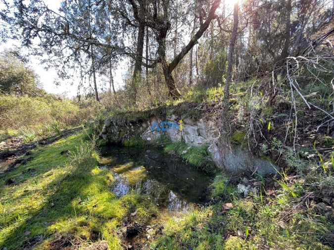 Terreno para Venda em Santo Andre das Tojeiras Foto 12