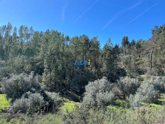 Terreno para Venda em Santo Andre das Tojeiras Foto 8