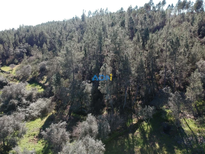 Terreno para Venda em Santo Andre das Tojeiras Foto 5