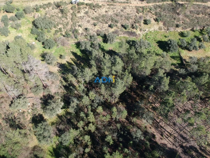 Terreno para Venda em Santo Andre das Tojeiras Foto 3