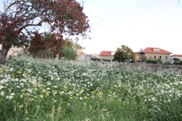 Quinta T4 para Venda em Arcozelo Foto 23