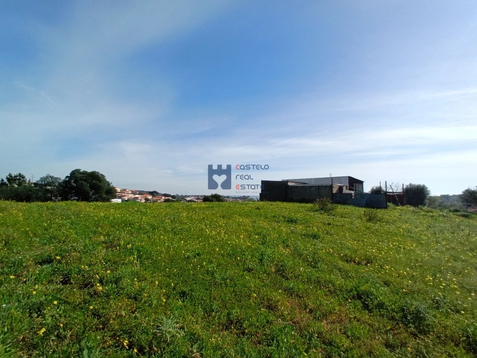 Terreno para Venda em Monsanto Foto 8