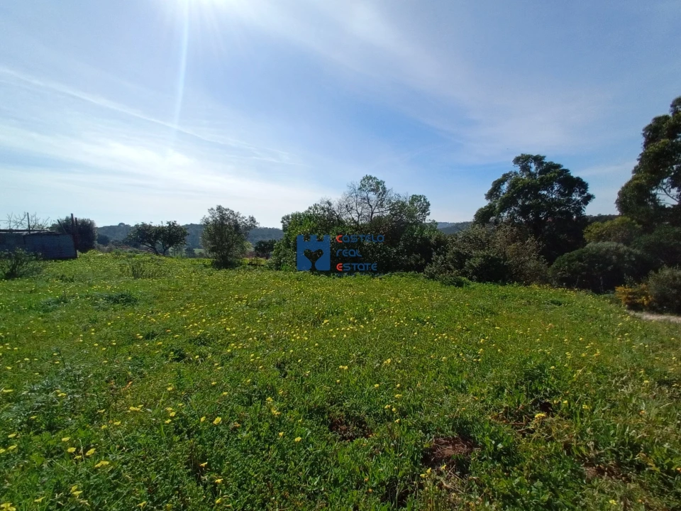Terreno para Venda em Monsanto Foto 6