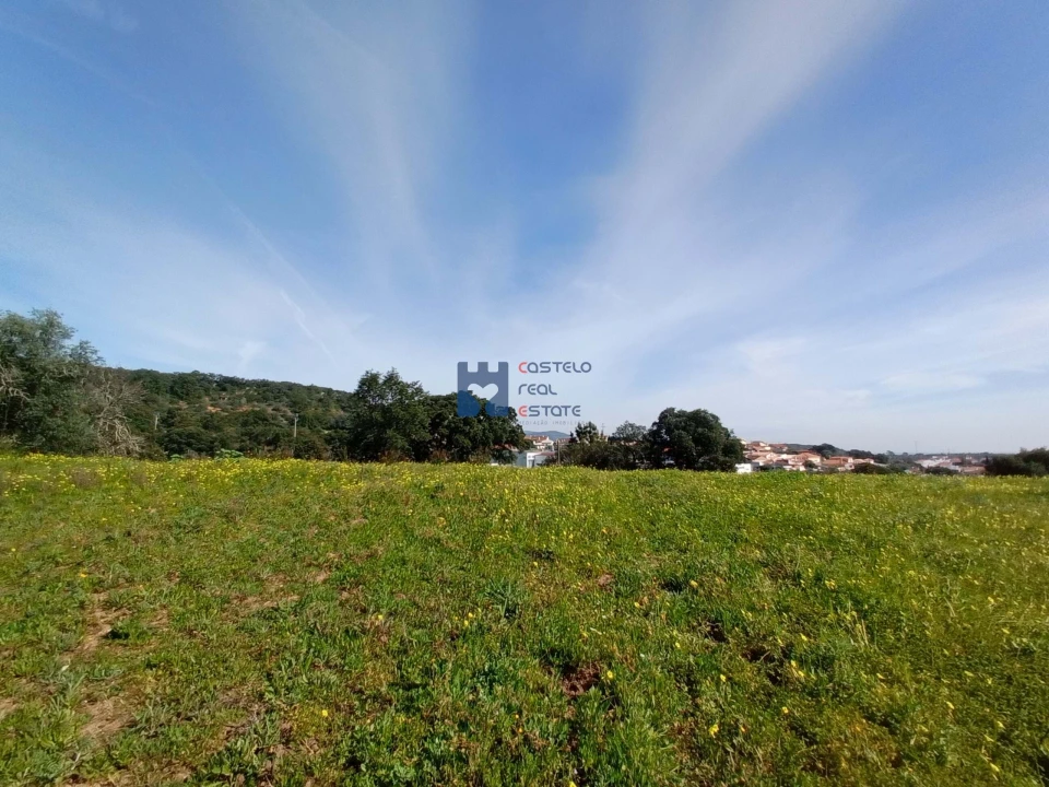 Terreno para Venda em Monsanto Foto 9