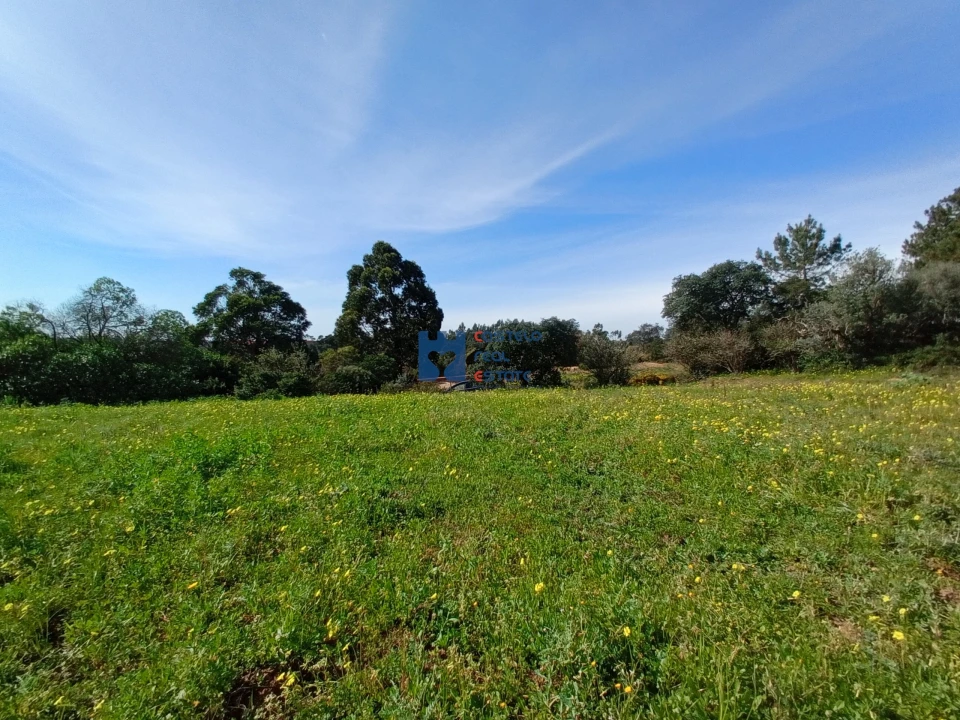 Terreno para Venda em Monsanto Foto 5