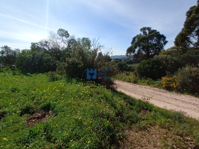 Terreno para Venda em Monsanto Foto 10