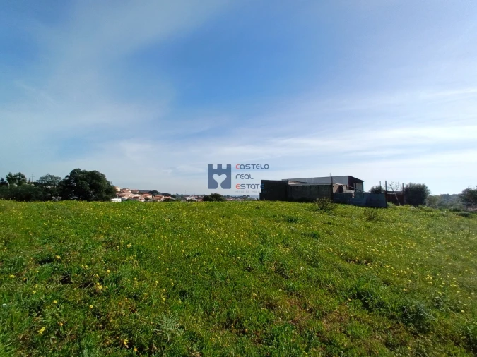 Terreno para Venda em Monsanto Foto 8