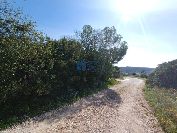 Terreno para Venda em Monsanto Foto 11